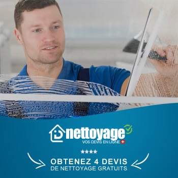 nettoyage vitres valais