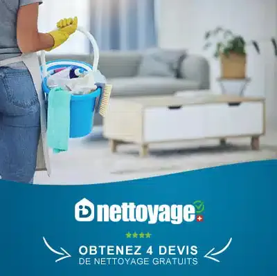 nettoyage bienne